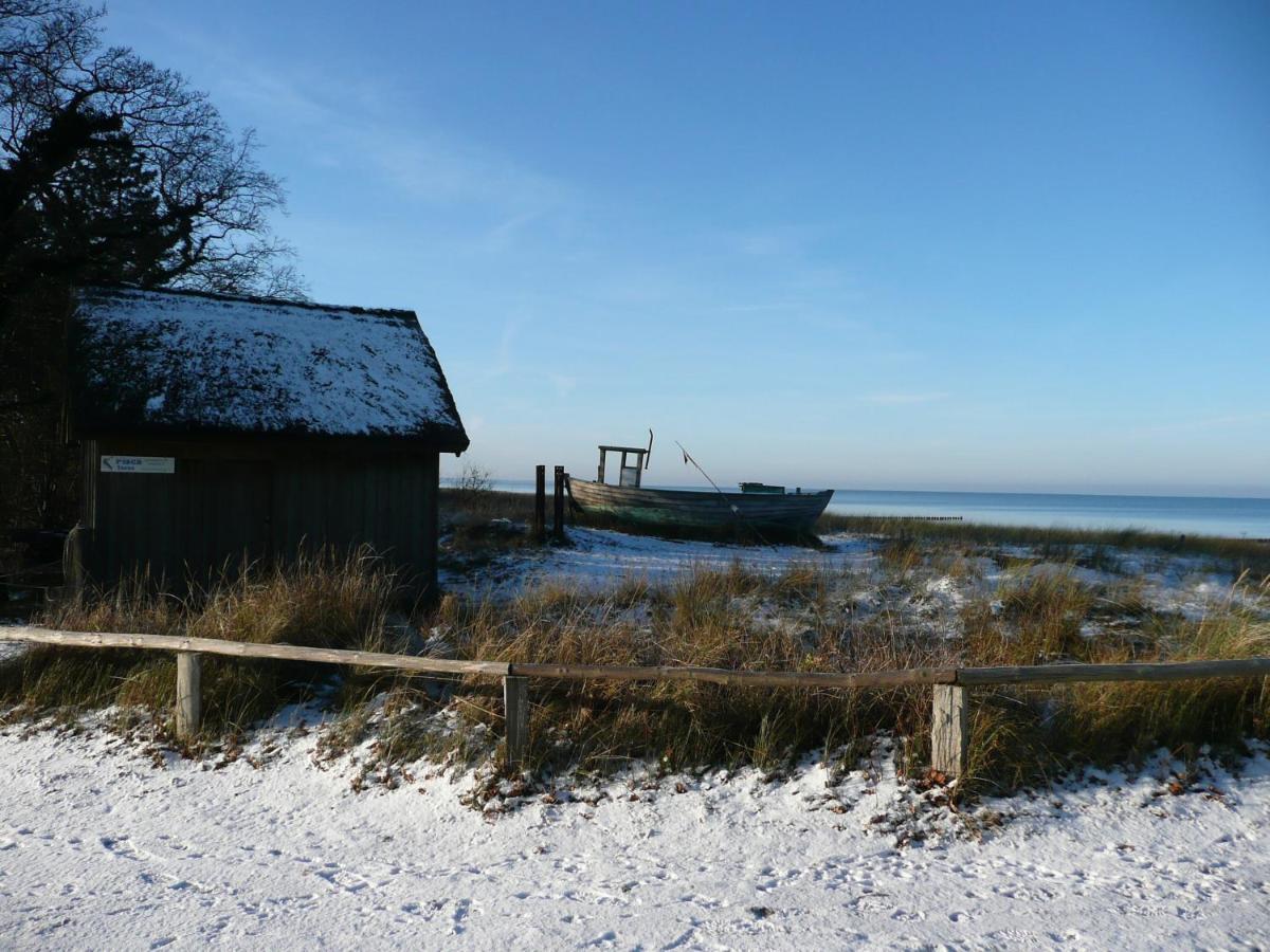 Residenz Am Strand Wohnung 2-36 Zingst Extérieur photo